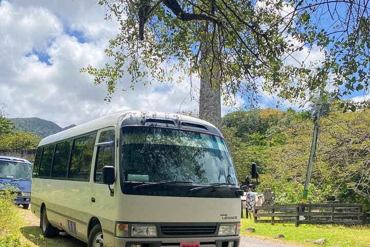 St Kitts Hop-On Hop-Off Air-Conditioned Island Tour: Views, History & Beaches