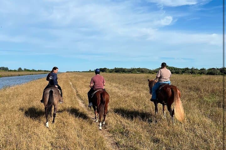 Horseback Riding in Miami's Countryside: Guided Ranch Trail Ride photo 4