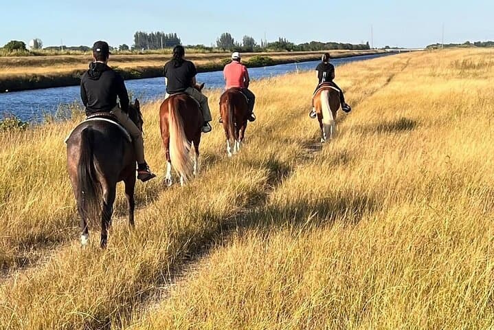 Horseback Riding in Miami's Countryside: Guided Ranch Trail Ride photo 6