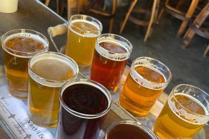 Private San Diego Beer Tasting Tour: Curated Brewery Crawl for Small Groups