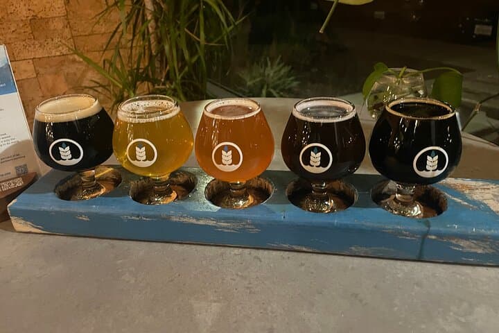 Private San Diego Beer Tasting Tour: Curated Brewery Crawl for Small Groups photo 2