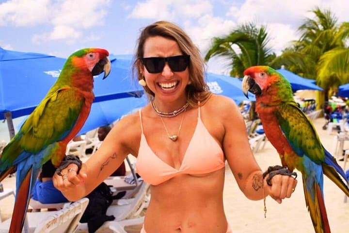 San Francisco Beach Club Cozumel Day Pass — Snorkel, Kayak & Pool Access photo 2