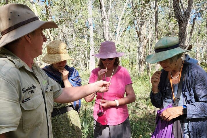 BushTracks Eco Tour: Bushtucker Walk & Native Bee Encounter Near Agnes Water