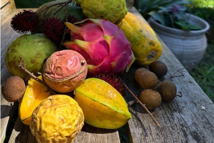 Kona Exotic Fruit Tasting Tour at Aloha Adventure Farms photo 2