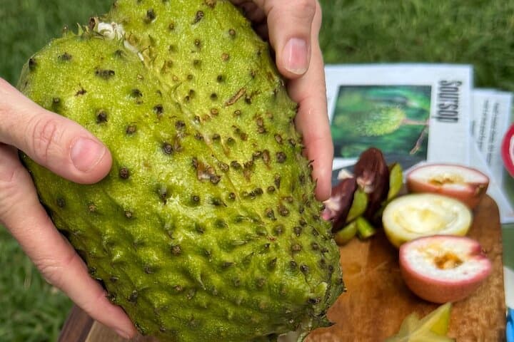 Kona Exotic Fruit Tasting Tour at Aloha Adventure Farms photo 4