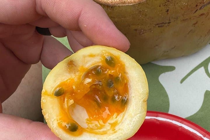 Kona Exotic Fruit Tasting Tour at Aloha Adventure Farms photo 5