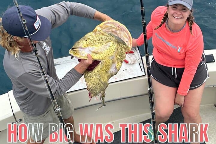 Key West Inshore Shark Fishing: Catch-and-Release Backcountry Shark Adventure photo 2