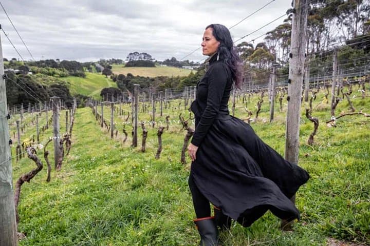 High-End Sommelier Tour on Waiheke Island: Private Tastings & Two-Course Lunch photo 2