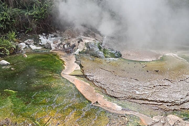 Rotorua to Waimangu Volcanic Valley Morning Shuttle — Self-Guided Walk to Frying Pan Lake
