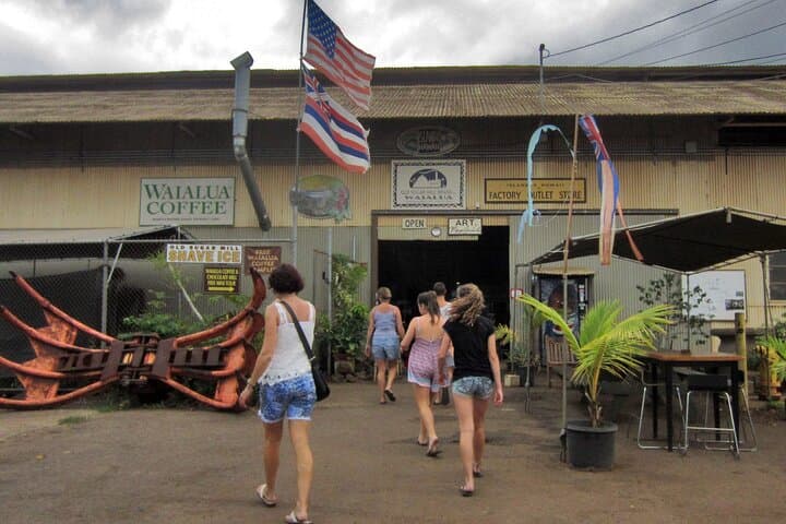 Private Secret Spots Tour on Oahu, Hawaii — Custom Island Drive photo 4