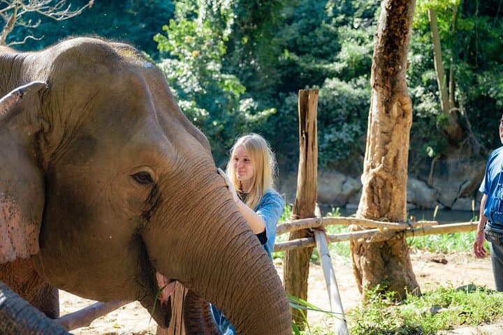 20-Day Southeast Asia Highlights: Vietnam Cambodia & Thailand Cultural Adventure photo 5