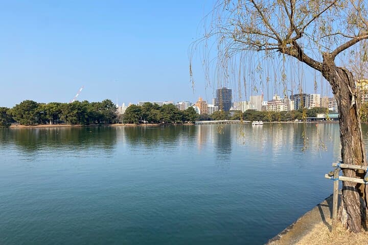 Fukuoka Castle and Hakata Highlights: A Full-Day Cultural Walking Tour photo 6