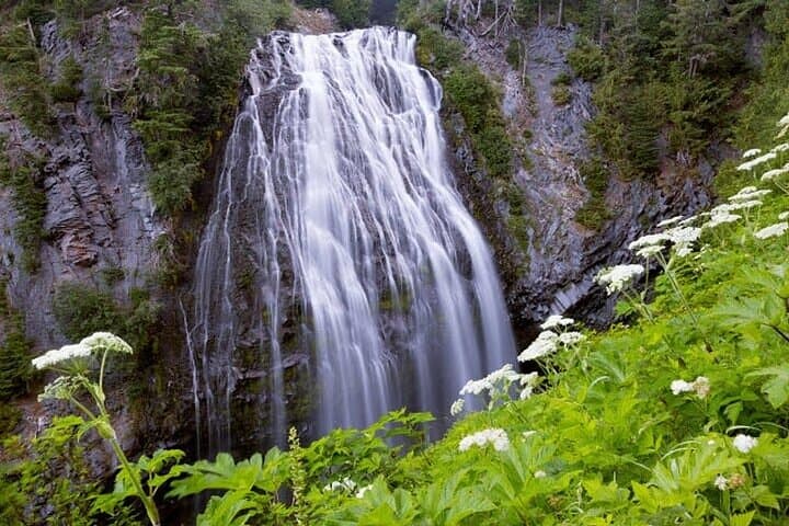 Portland to Mount Rainier Day Tour: Paradise Meadows, Waterfalls & Reflection Lakes photo 4