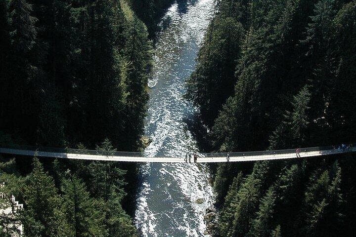 Seattle to Vancouver Full-Day Private Tour — Skagit Valley, Peace Arch, Capilano & Grouse Mountain photo 4