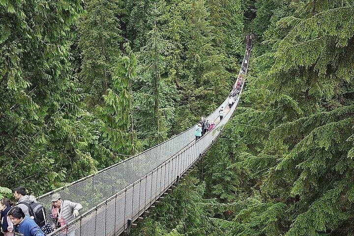 Seattle to Vancouver Full-Day Private Tour — Skagit Valley, Peace Arch, Capilano & Grouse Mountain photo 3