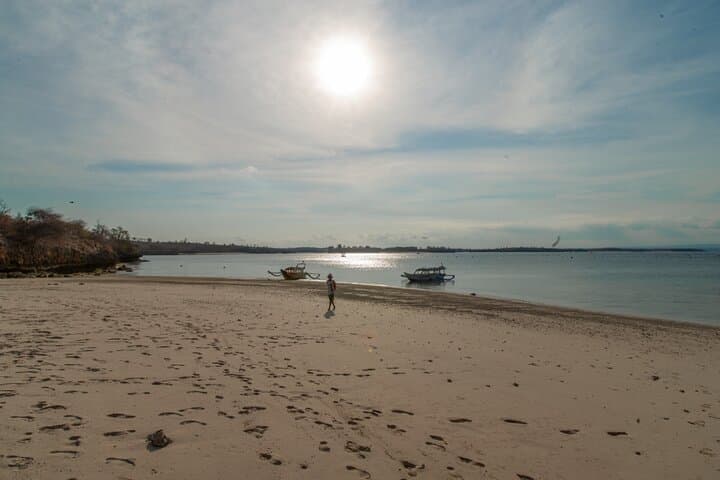 Explore Lombok's Pink Beach: Snorkeling by Glass-Bottom Boat photo 6