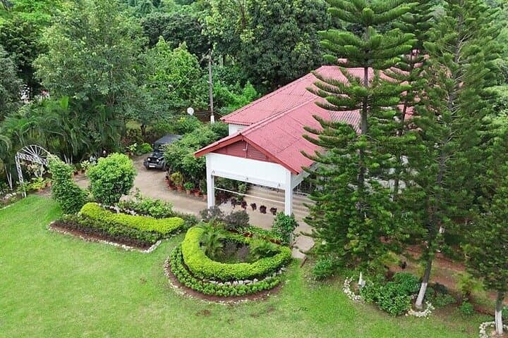 Amchong Tea Estate & Factory Visit — Assam High-Tea Experience photo 2