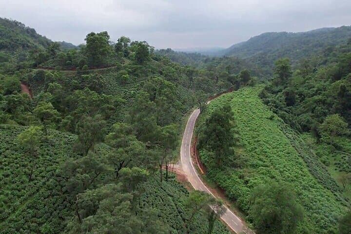 Amchong Tea Estate & Factory Visit — Assam High-Tea Experience photo 3