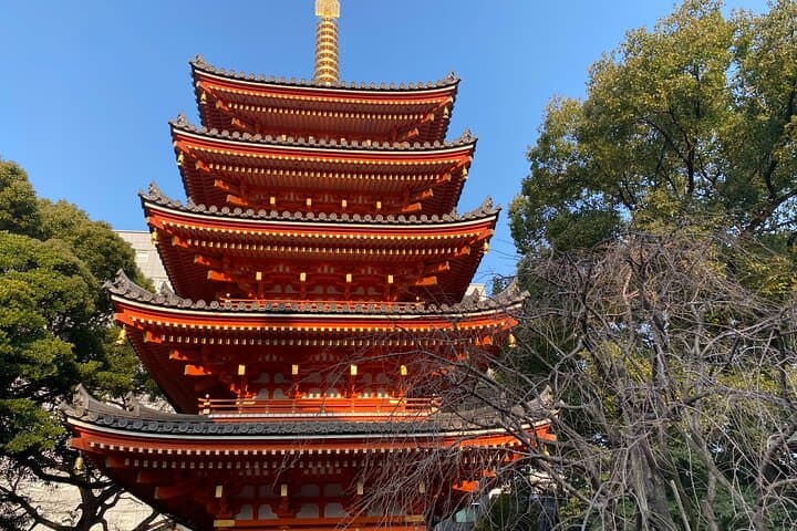Exploring Hakata's Temples and Shrines: Nanzoin, Tōchō-ji & Kushida Guided Tour photo 6