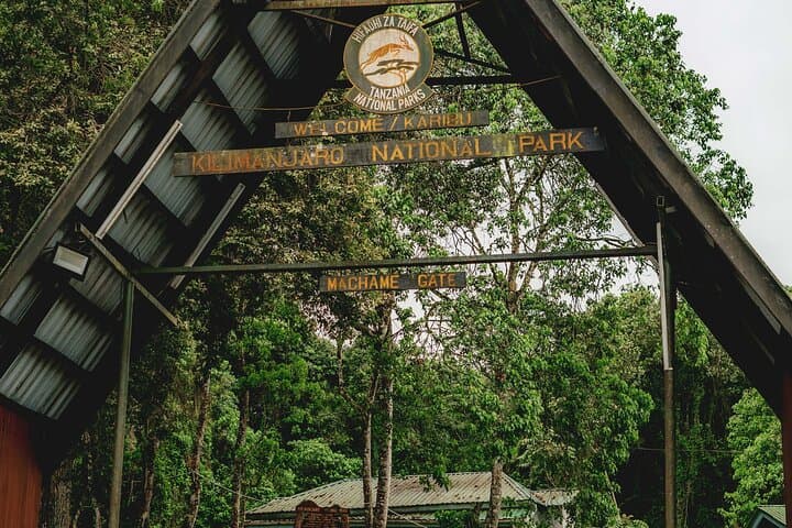 Day Hike on Kilimanjaro’s Machame Route: Rainforest to Panoramic Vistas