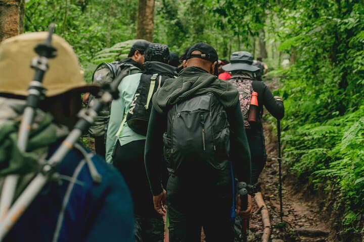 Day Hike on Kilimanjaro’s Machame Route: Rainforest to Panoramic Vistas photo 2