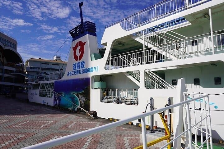 Tokashiki Island Day Trip: High-Speed Ferry Snorkel in Kerama Blue photo 2