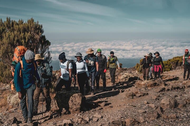 Day Hike on Kilimanjaro’s Machame Route: Rainforest to Panoramic Vistas photo 3