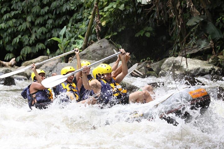 Ayung River White Water Rafting Near Ubud: Bali Jungle Rapids Adventure