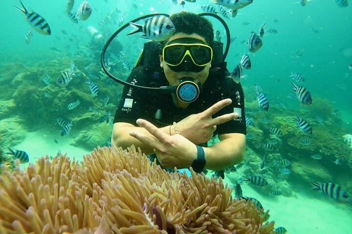 Nha Trang Marine Park: 2-Dive Beginner Scuba Tour at Hon Mun photo 3