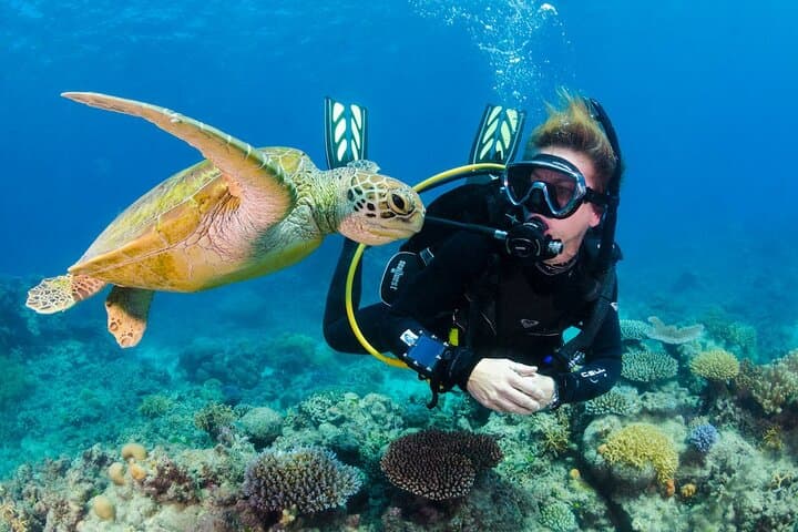 Nha Trang Marine Park: 2-Dive Beginner Scuba Tour at Hon Mun photo 4