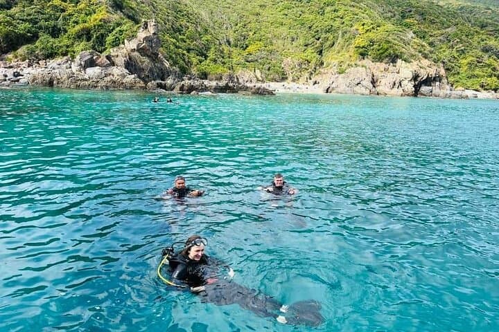 Nha Trang Marine Park: 2-Dive Beginner Scuba Tour at Hon Mun photo 5