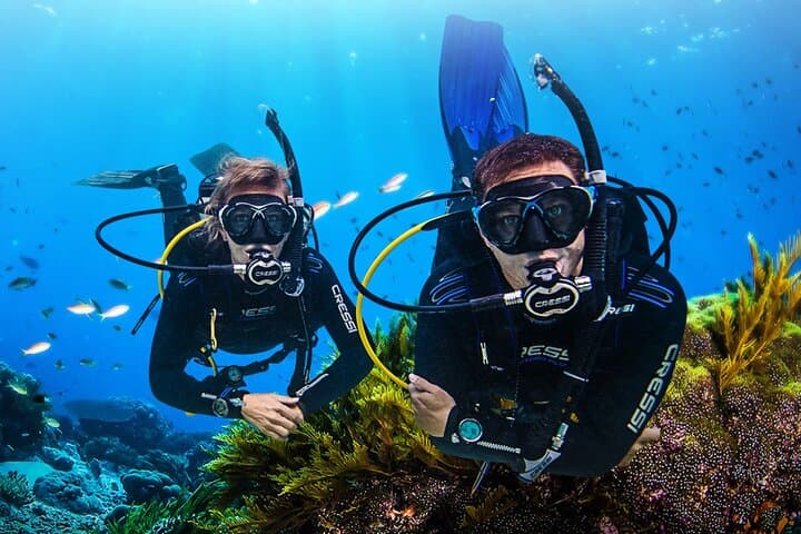 Nha Trang Two-Dive Scuba Experience with Lunch at Marine Park