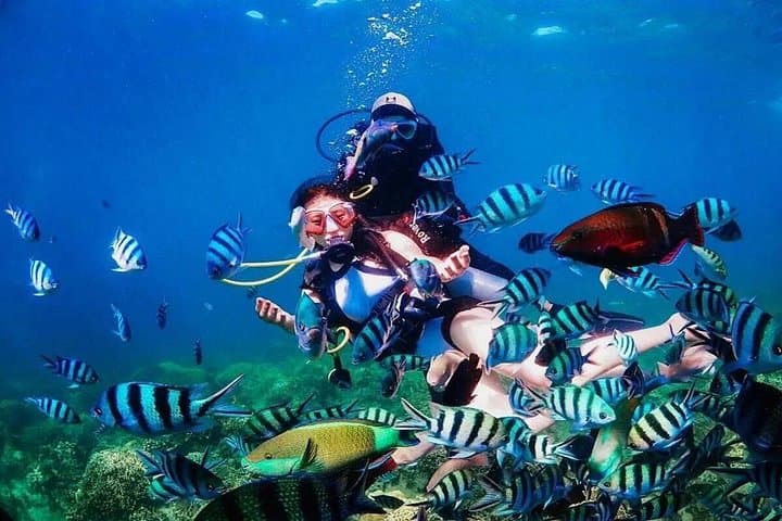 Nha Trang Scuba Diving: 2 Dives at Marine Park with Lunch Included