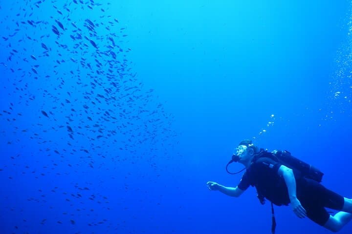 PADI Open Water Diver Course in Latchi — Learn to Dive the Akamas Coast