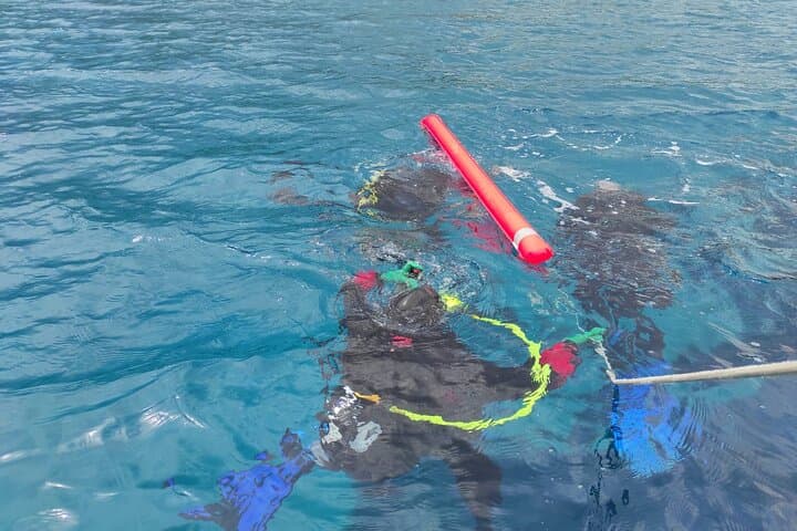 PADI Open Water Diver Course in Latchi — Learn to Dive the Akamas Coast photo 5