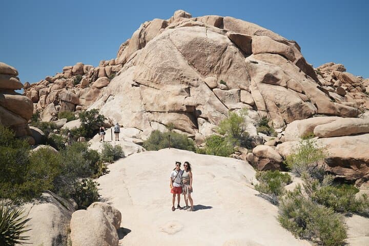 Joshua Tree Private Day Trip from Los Angeles – Hidden Valley, Skull Rock & Keys View photo 3