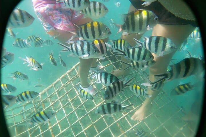Private Lombok Raft Tour: Snorkel Gili Nanggu, Sudak & Kedis