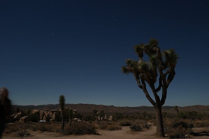 Full-Day Private Joshua Tree Adventure from Los Angeles — Hidden Valley, Arch Rock & Keys View