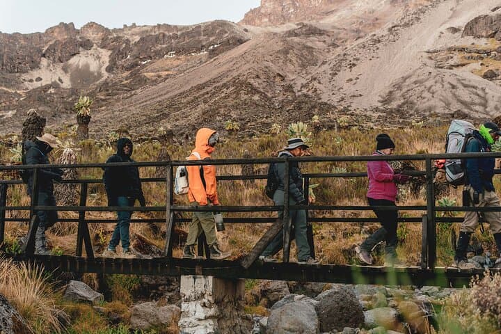Summit Kilimanjaro via the Machame Route: A 7-Day Private Trek to Uhuru Peak photo 3