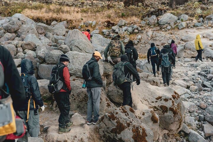 6-Day Kilimanjaro Lemosho Route: Private Guided Summit Trek to Uhuru Peak photo 3