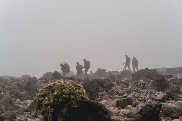 Summit Kilimanjaro via the Machame Route: A 7-Day Private Trek to Uhuru Peak photo 2