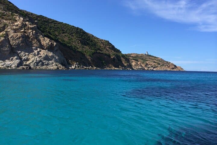 Gulf of Calvi Snorkeling: Boat Tour to Corsica's Marine Gardens photo 3