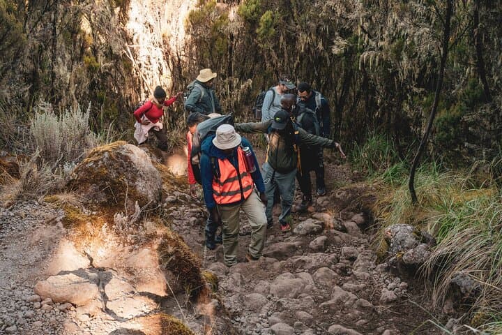 8-Day Kilimanjaro Lemosho Route: Private Guided Trek to Uhuru Peak photo 2