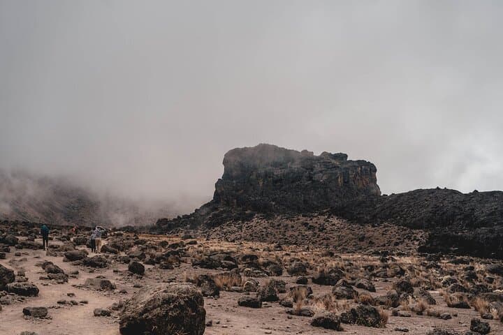 8-Day Kilimanjaro Lemosho Route: Private Guided Trek to Uhuru Peak photo 3