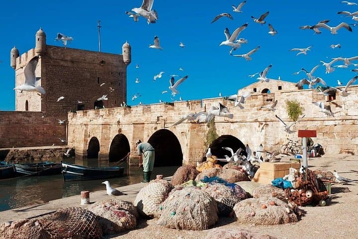 Day Trip to Essaouira from Marrakech: Skala, Medina & Argan Oil photo 1