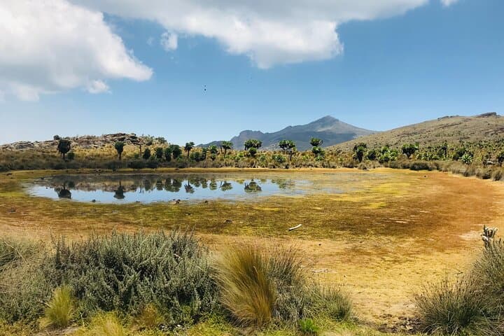 4-Day Mt Elgon Hike via Bushiyi Trail — Wagagai Summit & Camping photo 3