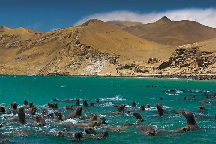 7-Day Lima & Cusco Tour: Machu Picchu, Sacred Valley and Rainbow Mountain photo 4