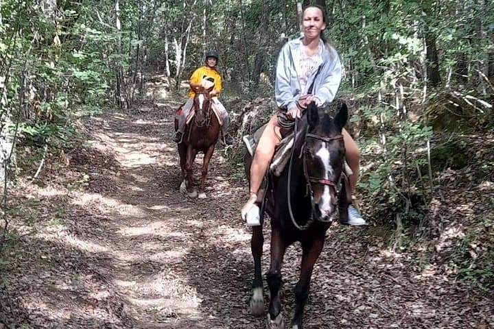 Horseback Riding in Chianti: 90-Minute Tuscan Countryside Ride from Florence photo 4