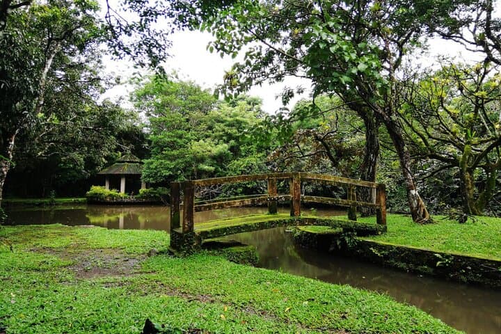 Explore Antón Valley: El Nispero Botanical Garden, Waterfalls & Hot Springs Day Tour photo 4