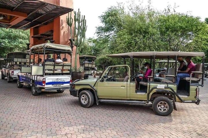 Mosi-oa-Tunya Game Drive and Short Rhino Walking Safari on the Zambezi